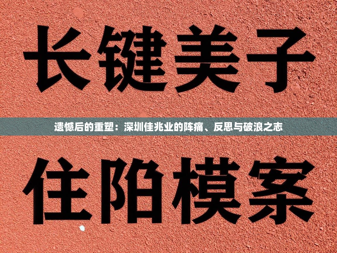 遗憾后的重塑：深圳佳兆业的阵痛、反思与破浪之志  第1张