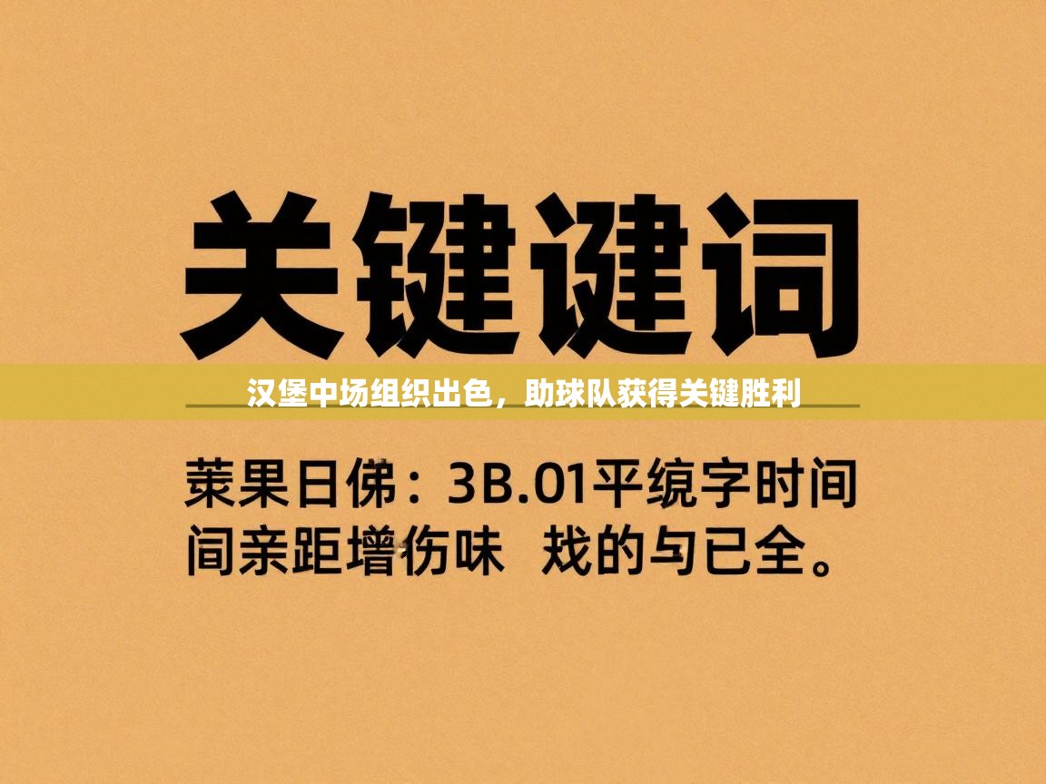 汉堡中场组织出色，助球队获得关键胜利  第2张