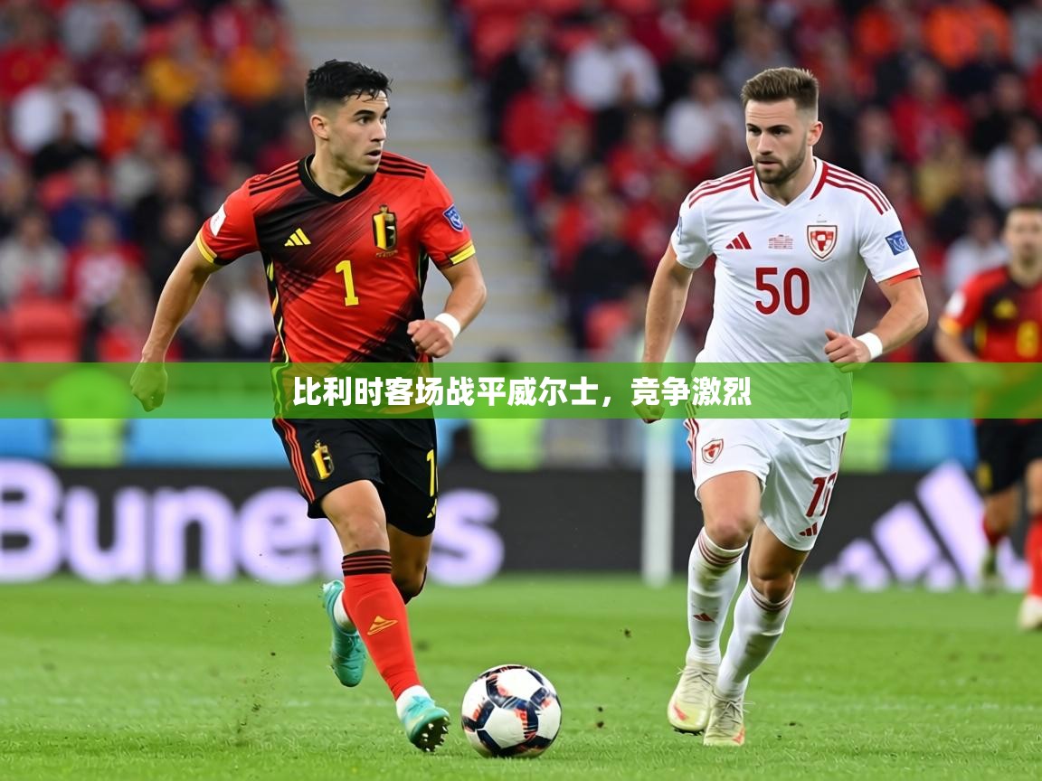 比利时客场战平威尔士，竞争激烈  第1张