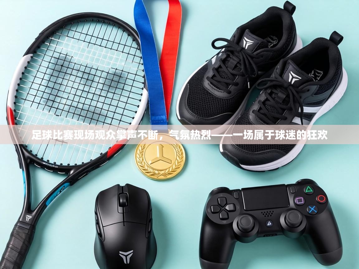 足球比赛现场观众掌声不断，气氛热烈——一场属于球迷的狂欢  第2张